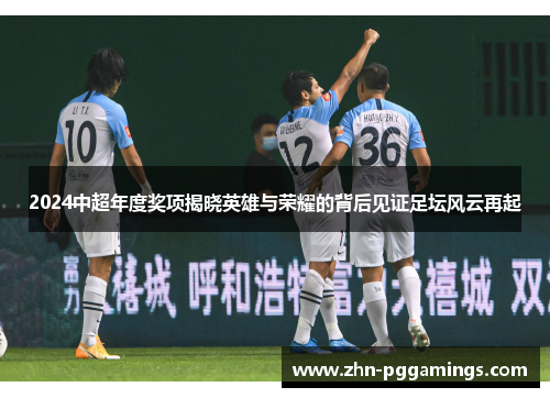 2024中超年度奖项揭晓英雄与荣耀的背后见证足坛风云再起