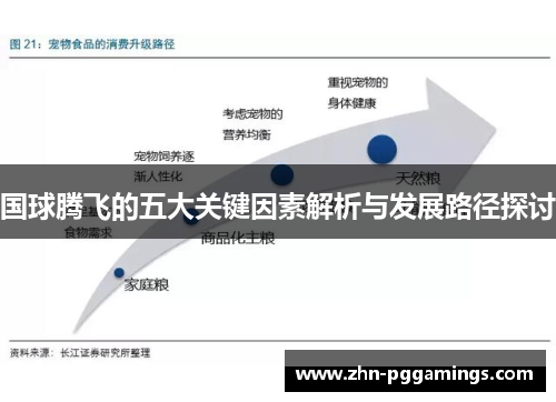 国球腾飞的五大关键因素解析与发展路径探讨