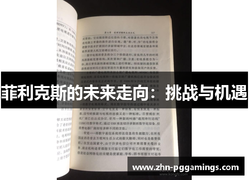 菲利克斯的未来走向:挑战与机遇