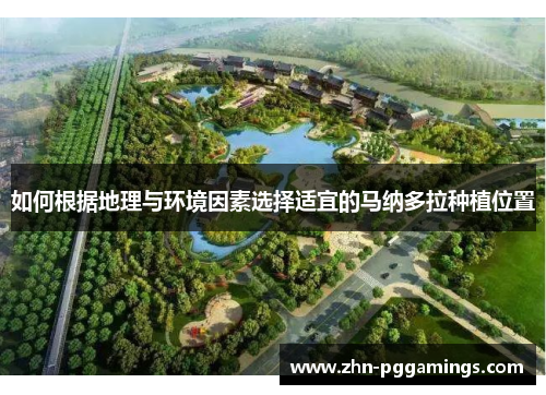 如何根据地理与环境因素选择适宜的马纳多拉种植位置