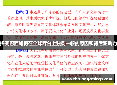 探究巴西如何在全球舞台上独树一帜的原因和背后驱动力