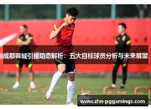 成都蓉城引援动态解析：五大目标球员分析与未来展望